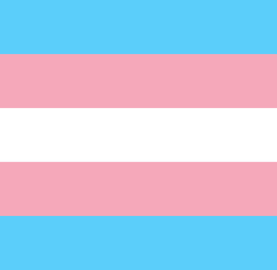 Transgender pride flag (1999)